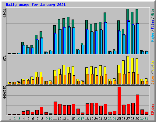 Daily usage for January 2021