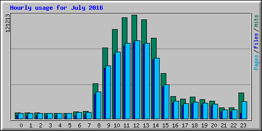 Hourly usage for July 2016