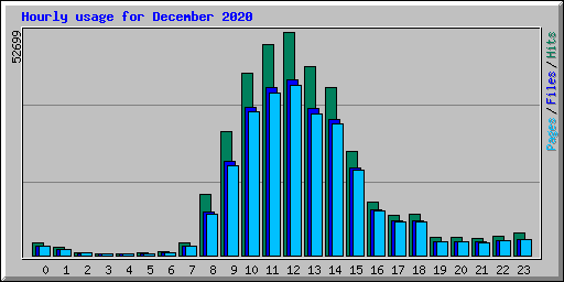 Hourly usage for December 2020