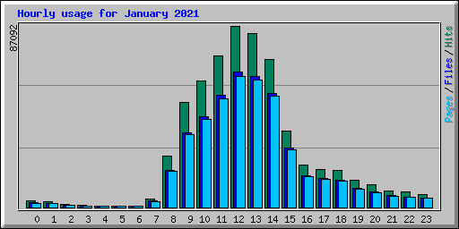 Hourly usage for January 2021
